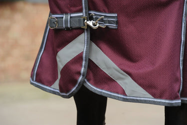 Buy WeatherBeeta ComFiTec Plus Dynamic II 100g Lightweight Standard Neck Turnout| Online for Equine