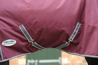 Buy the WeatherBeeta ComFiTec Plus Dynamic II 100g Lightweight Detachable Neck Turnout Rug | Online for Equine