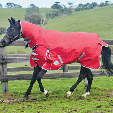 Buy WeatherBeeta ComFiTec Classic 220g Mediumweight Combo Neck Turnout Rug| Online for Equine