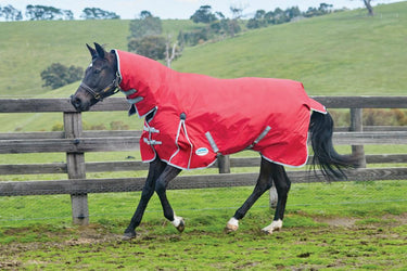 Buy WeatherBeeta ComFiTec Classic 300g Heavyweight Combo Neck Turnout Rug|Online For Equine 
