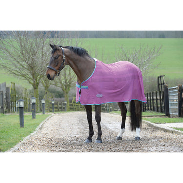 Buy the WeatherBeeta Scrim Violet / Blue Standard Neck Cooler | Online for Equine