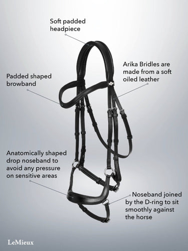 Buy LeMieux Arika Drop Bridle | Online for Equine