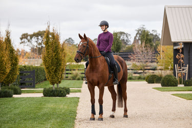 Dublin Brushed Long Sleeve Riding Top Purple Violet