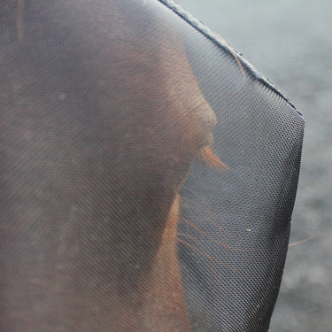 Buy Woof Wear UV Comfort Fly Mask Without Ears| Online for Equine