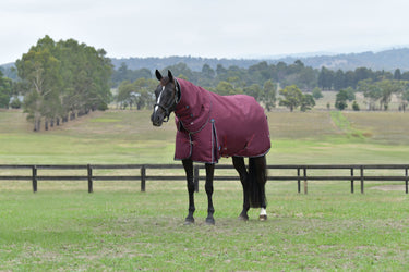 Weatherbeeta Comfitec Essential Turnout Detach-A-Neck 50G Burgundy/ Navy