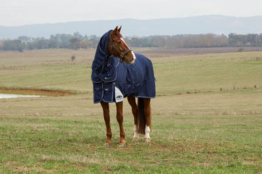 Weatherbeeta Comfitec Ultra Turnout Detach-A-Neck 100G Navy