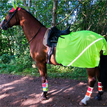 Equisafety Hi Vis Reflective Horse Summer Sheet