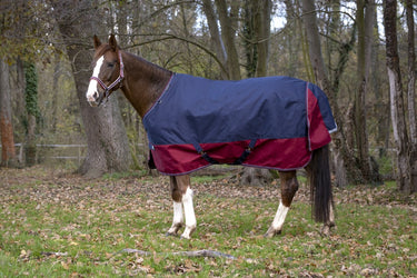 Buy Equi-Thème Tyrex 1200D 300G Turnout Rug - Navy/Burgundy| Online for Equine